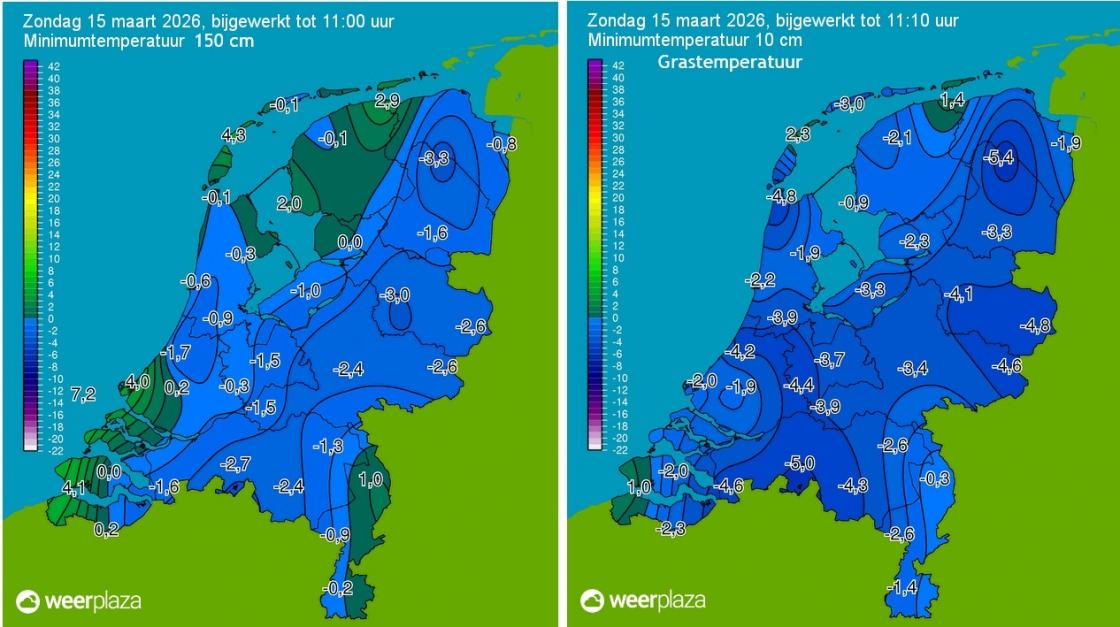 20260315 nachtvorst in de lente NL gewoon en gras temperatuur.jpg